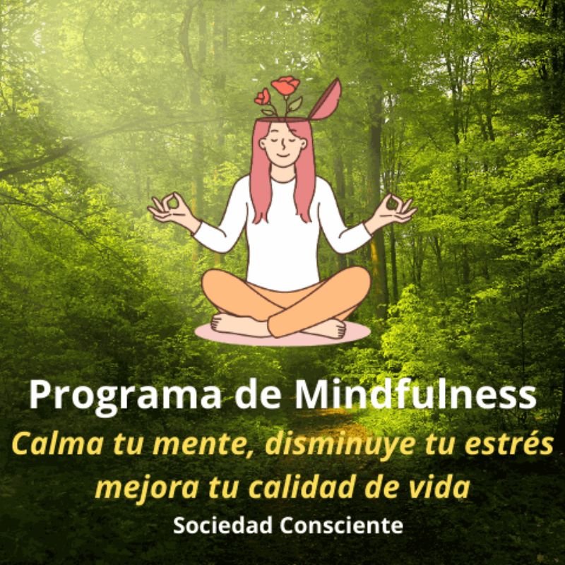ejercicios de mindfulness para principiantes para reducir el estrés